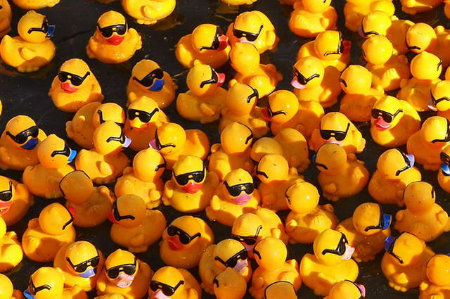 Maschseefest   531.jpg